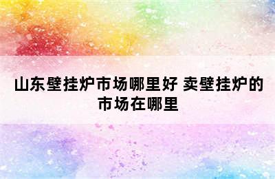 山东壁挂炉市场哪里好 卖壁挂炉的市场在哪里